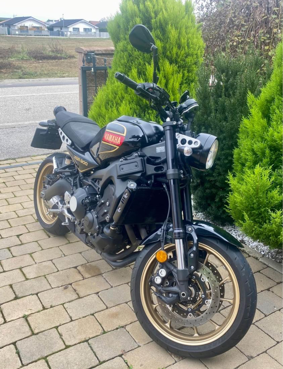 YAMAHA XSR 900SP